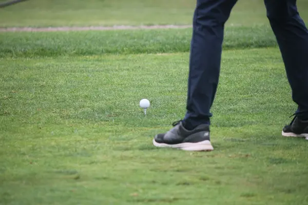 Kelly Golf Classic 2024, photo 23