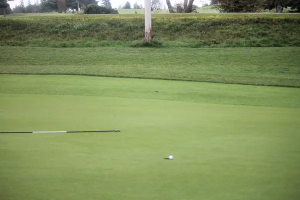 Kelly Golf Classic 2024, photo 61
