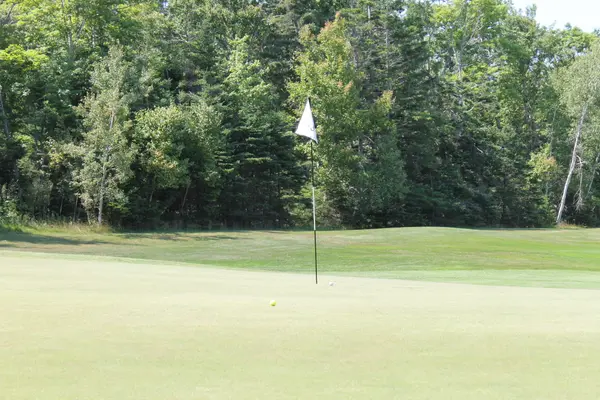 Kelly Golf Classic 2025, photo 108