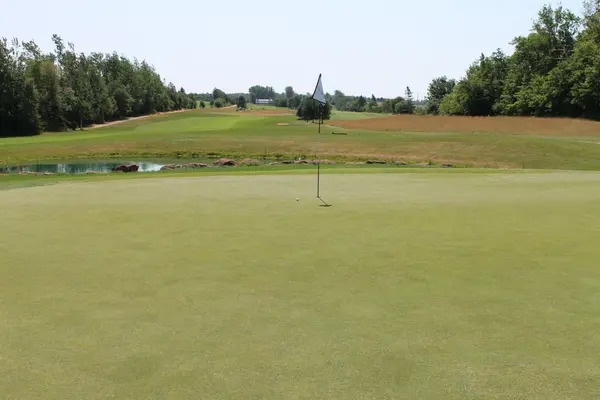 Kelly Golf Classic 2025, photo 139