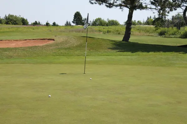 Kelly Golf Classic 2025, photo 166