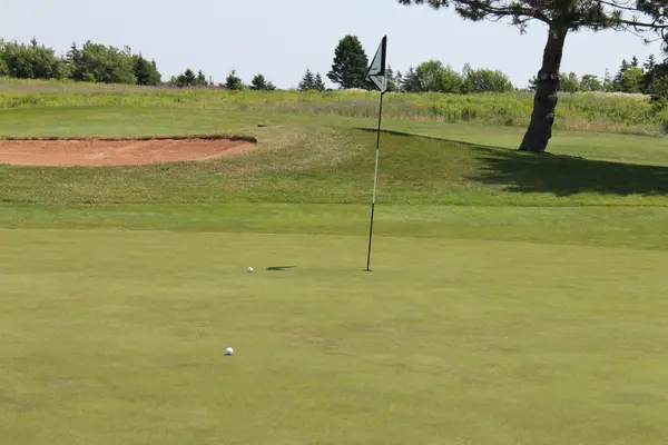 Kelly Golf Classic 2025, photo 168