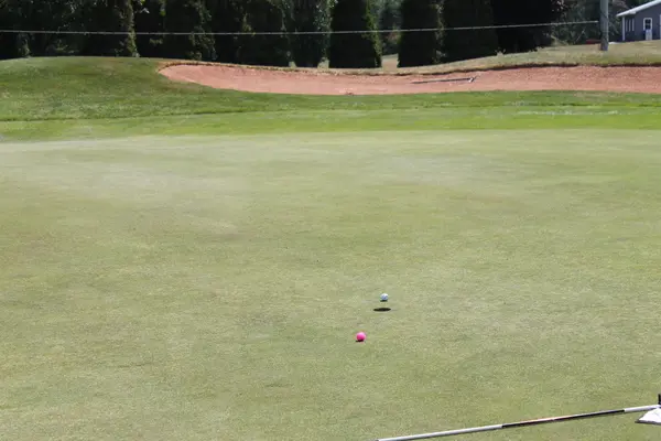 Kelly Golf Classic 2025, photo 198