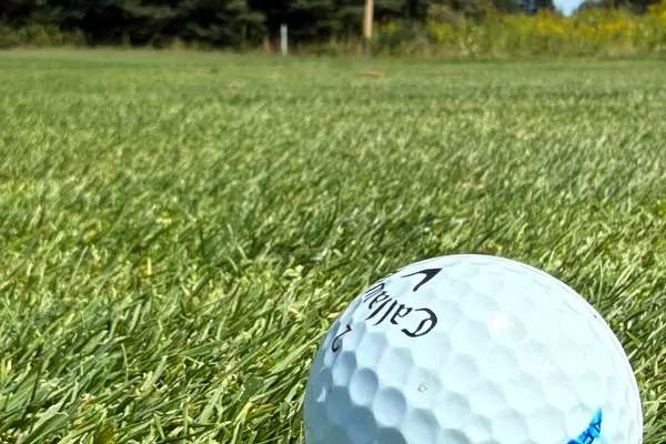 Kelly Golf Classic 2026, photo 172