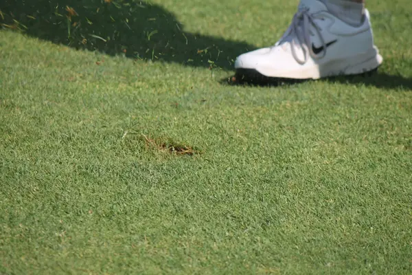 Kelly Golf Classic 2026, photo 124
