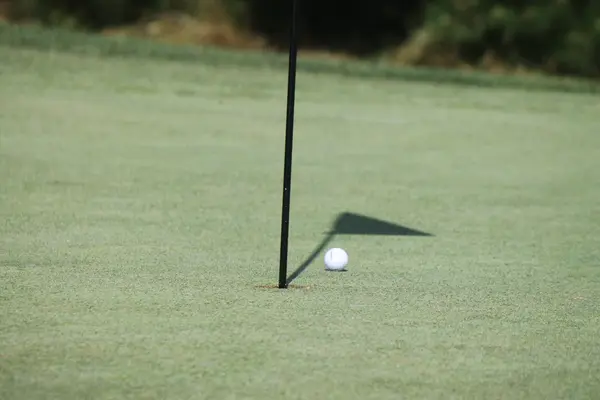 Kelly Golf Classic 2026, photo 134