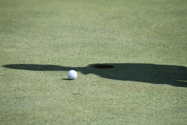 Kelly Golf Classic 2026, photo 154